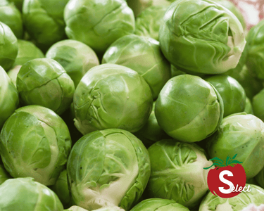 Catskill Brussels Sprouts Seeds